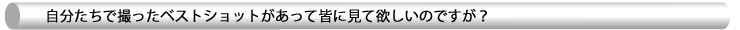 自分達で撮ったベストショットがあって皆に見て欲しいのですが？